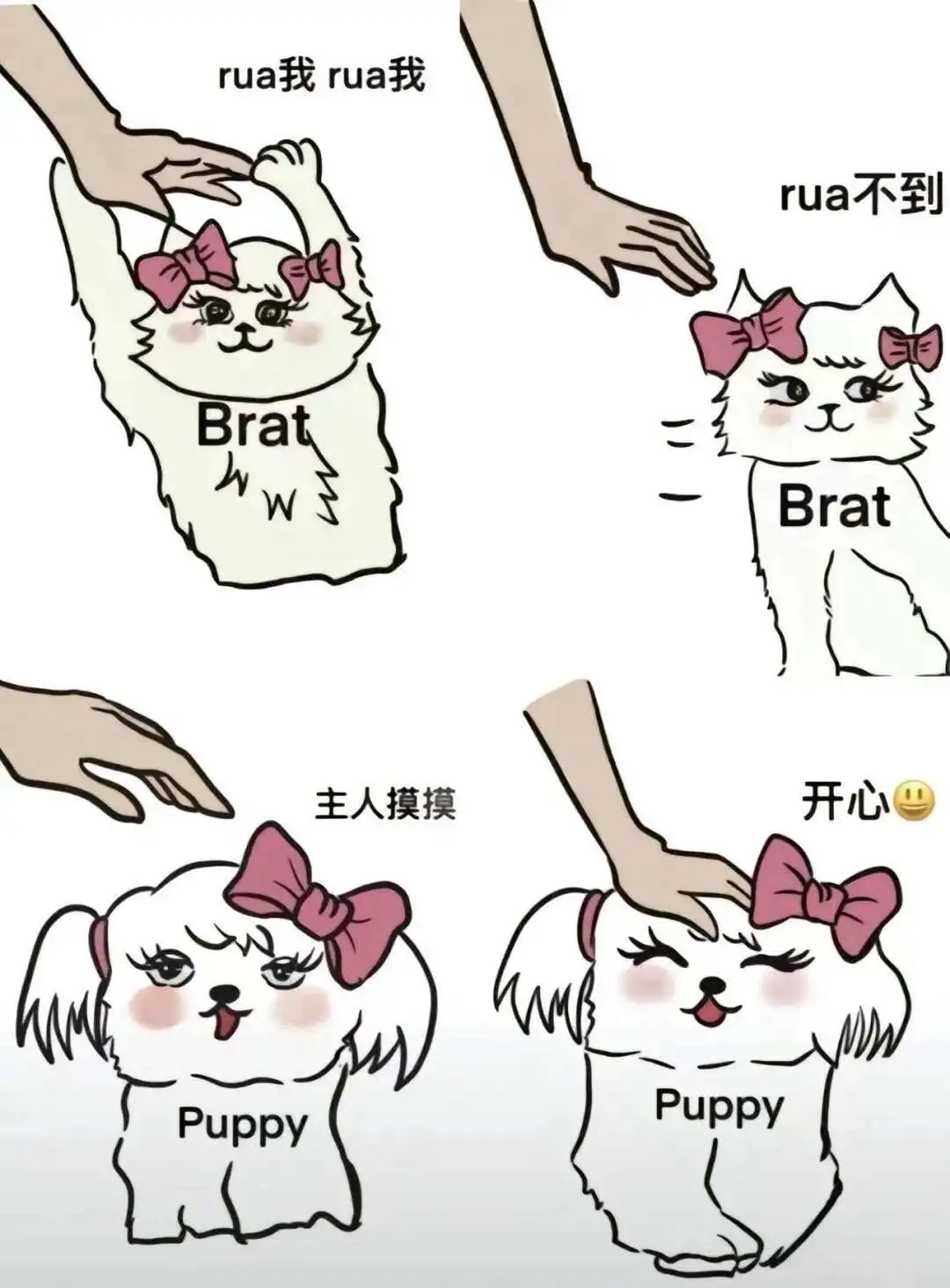 西檬之家斯慕圈新人如何入圈? 一