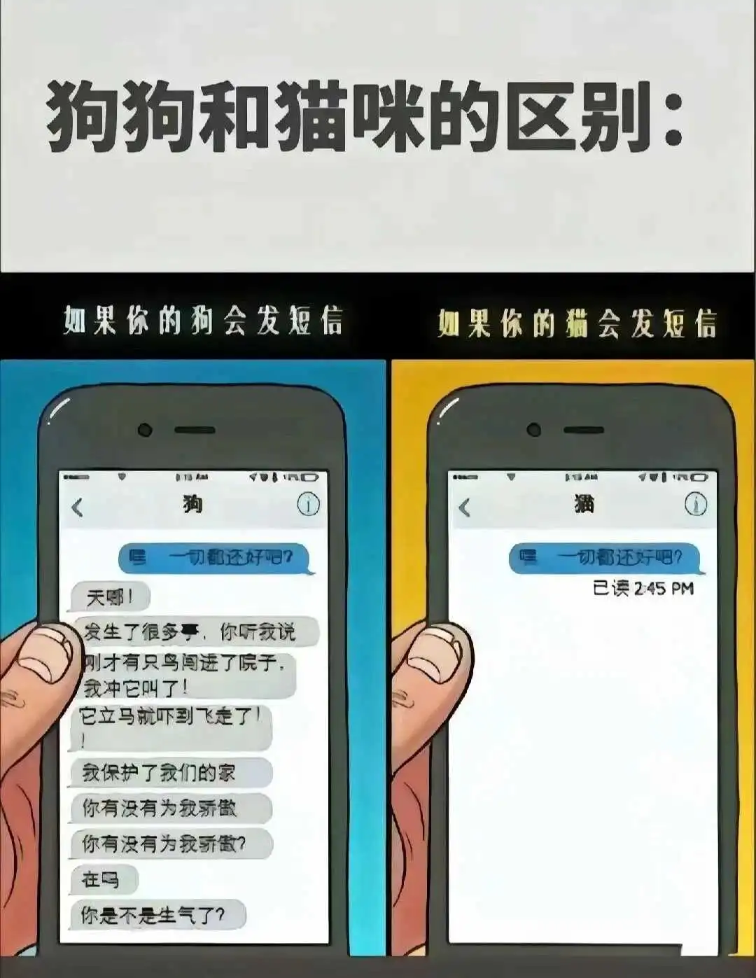 西檬之家m倾向是什么? 一