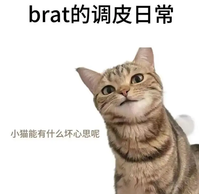 西檬之家如何经营健康的DS关系 一