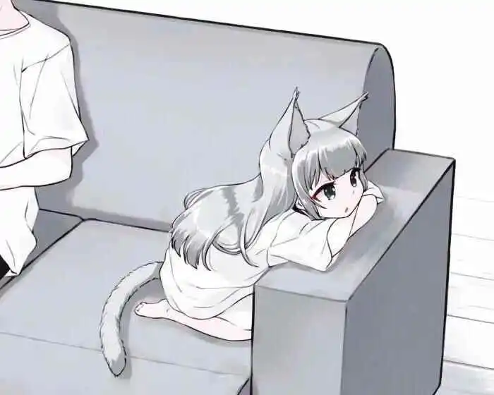 西檬之家k8猫系是什么意思?字母圈新人入圈 一