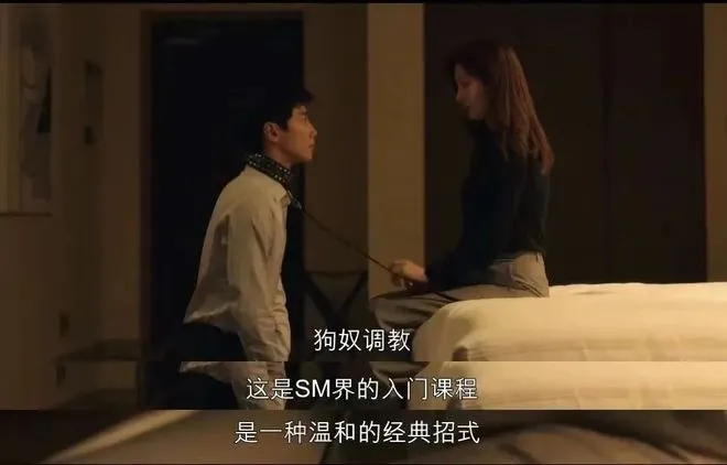 西檬之家什么是s属性?字母圈新人入圈 一