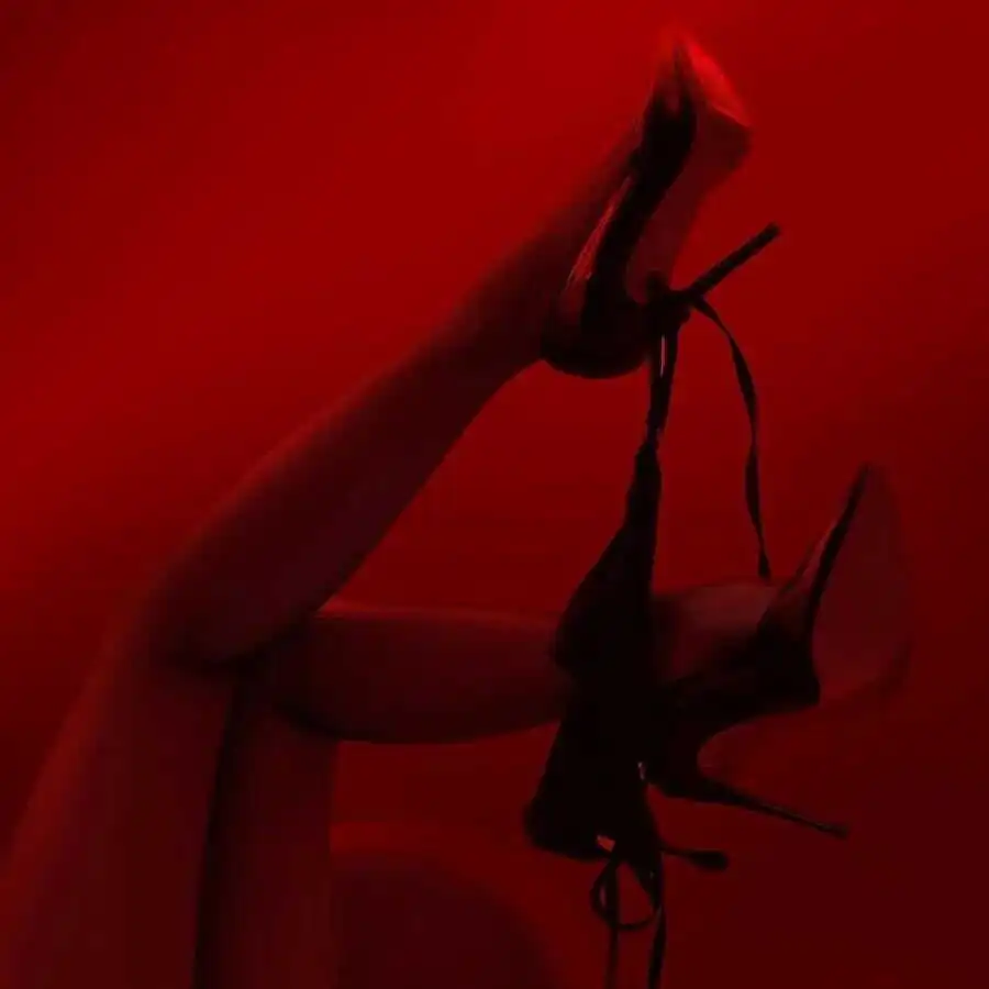 西檬之家BDSM入圈新手必读SSC安全指南 一