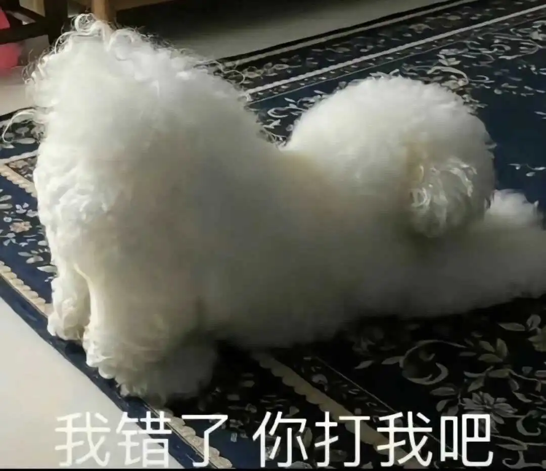 西檬之家字母圈入圈指南 一
