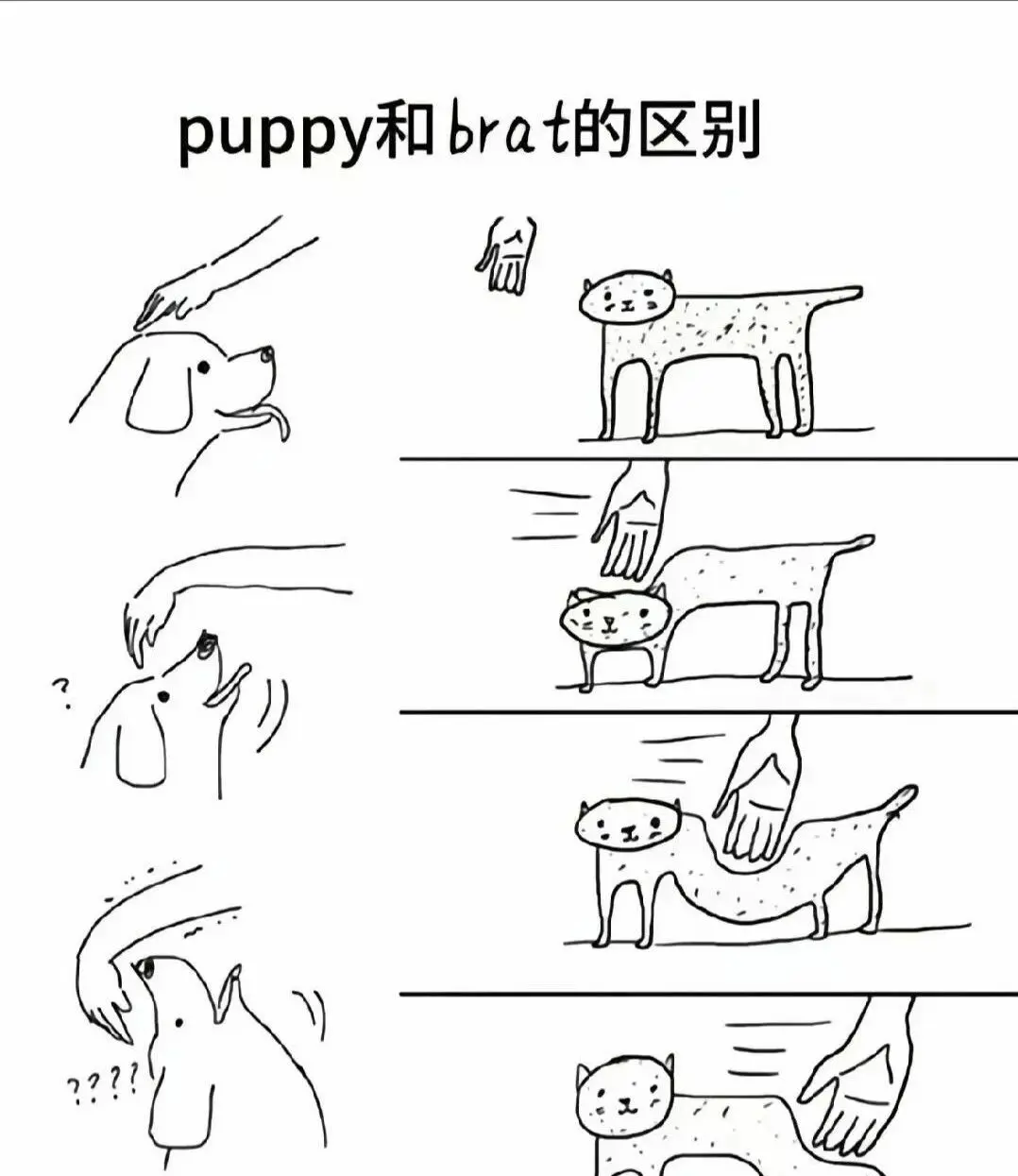 西檬之家sp小圈是什么意思?字母圈新手必读 一