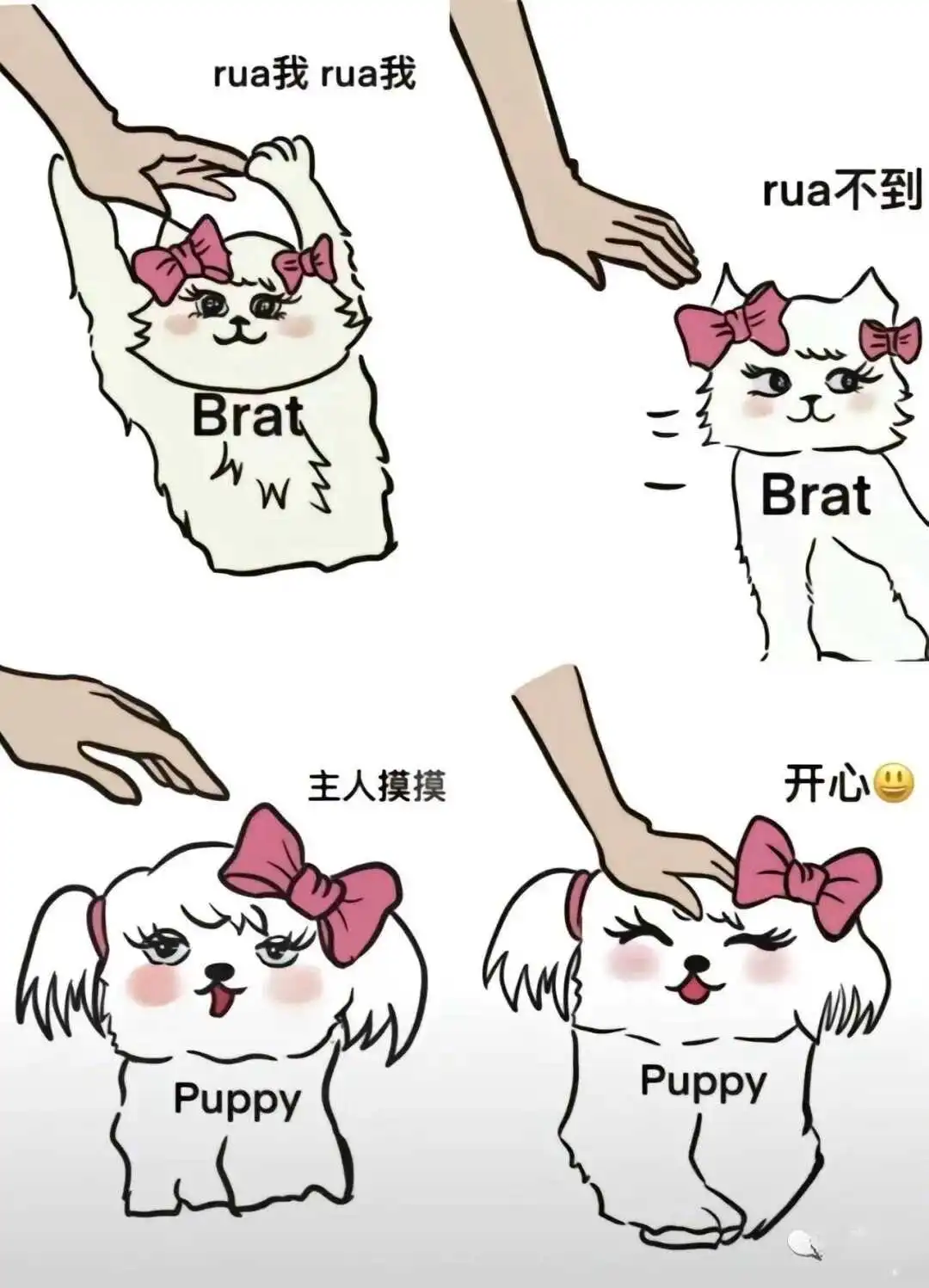 西檬之家k9犬系新人入门指南 一