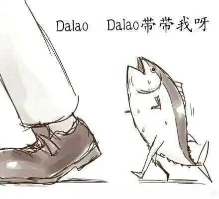 西檬之家sp小圈是什么? 一